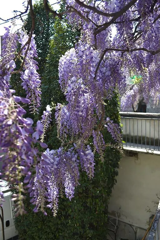 Palazzo Fracastoro Hotel Verona 0*,